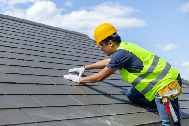 Best Roof Gutter Cleaning  in Harlem, GA