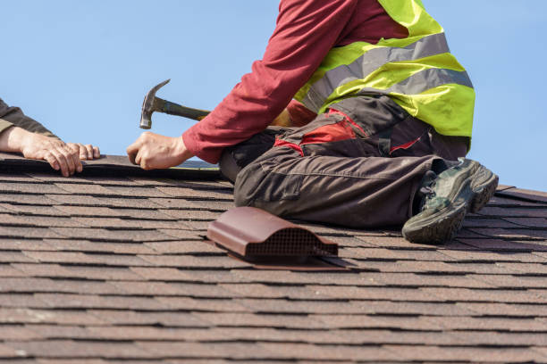 Best Gutter Installation and Roofing  in Harlem, GA