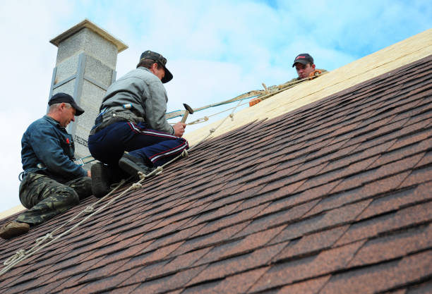 Best Roof Repair Services  in Harlem, GA